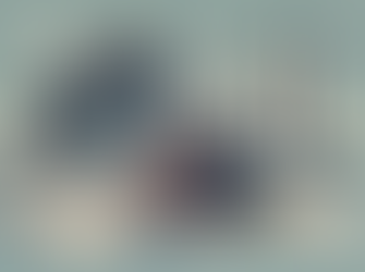 Habilitação Tardia de Créditos Trabalhistas e Decadência: Falência e Recuperação Judicial