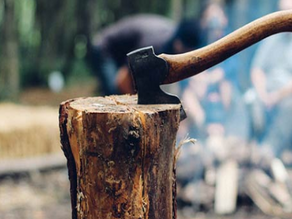 O Que São Crimes Ambientais?