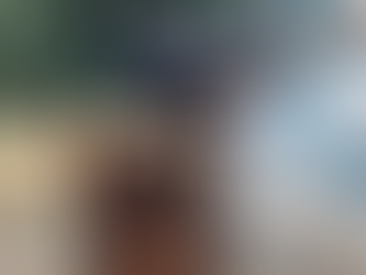 O Que São Crimes Ambientais?