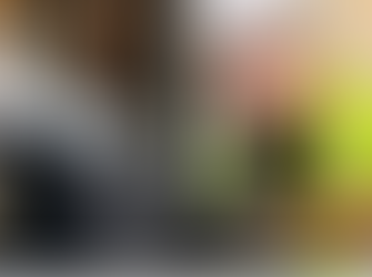 Existe Estabilidade Por 10 Anos de Empresa?