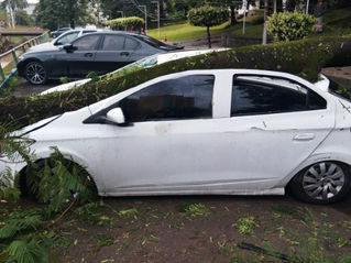 Caiu Uma Árvore no Meu Carro