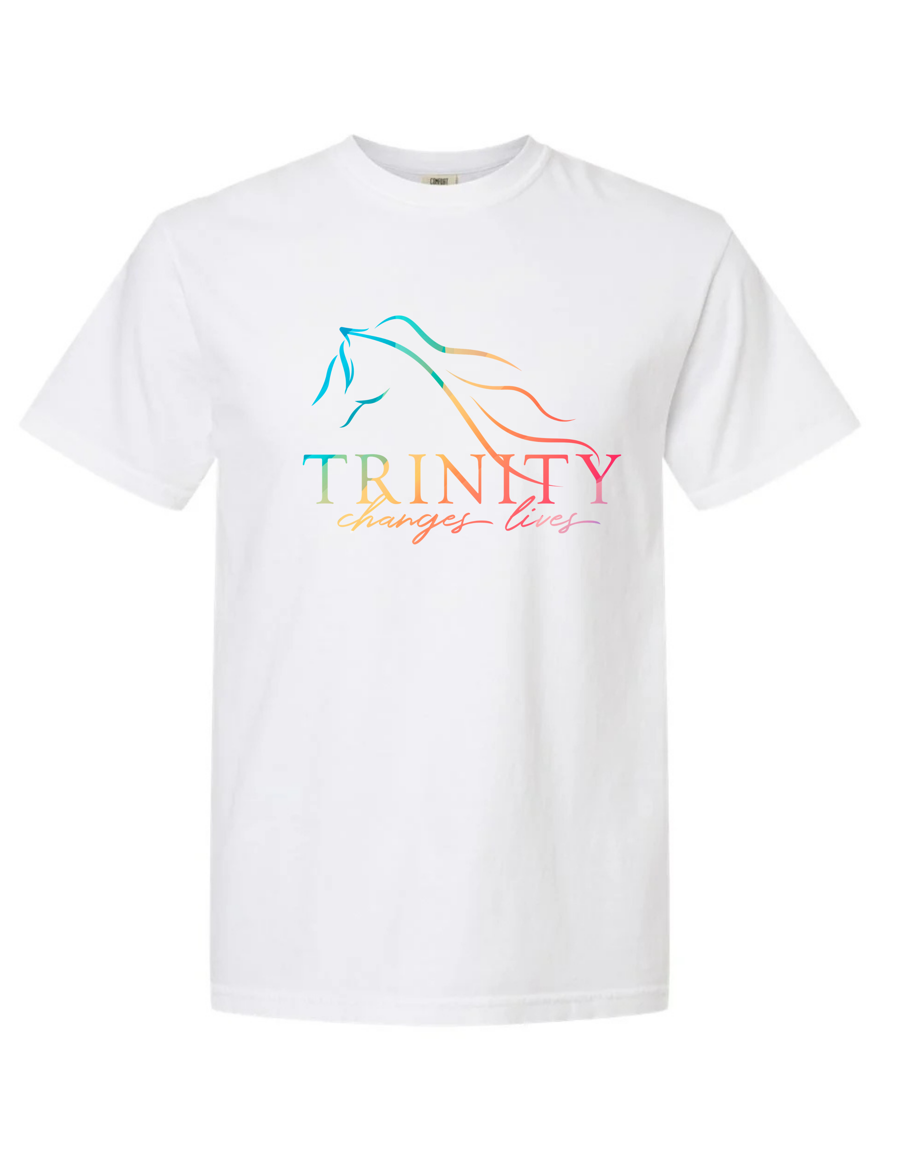Comfort Colors Adult T-Shirt - Colorful Trinity Changes Lives