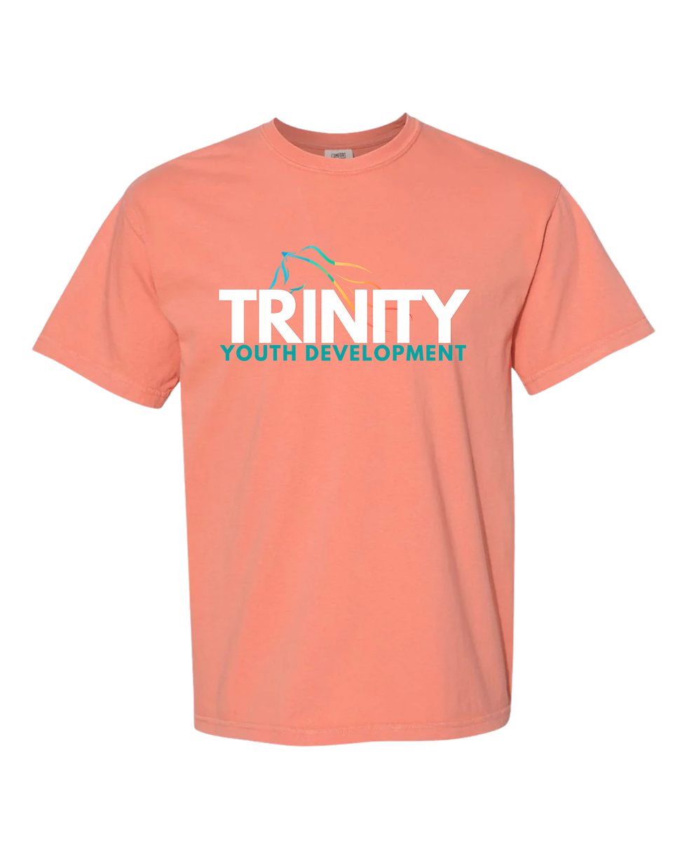Thumbnail: Comfor Colors Youth Development T-Shirts
