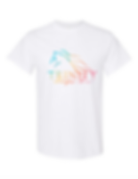 Gildan Adult T-Shirt - Colorful Trinity Changes Lives