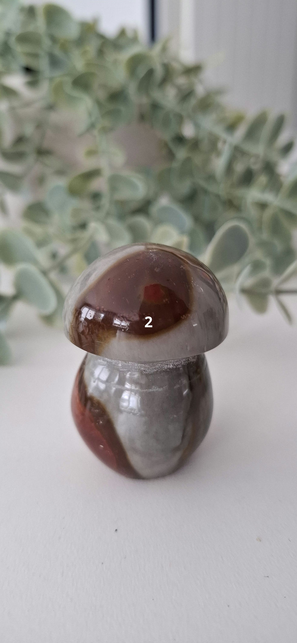 Thumbnail: Polychrome Jasper mushroom 
