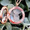 Thumbnail: Rose gold plated  gemstone, glass locket