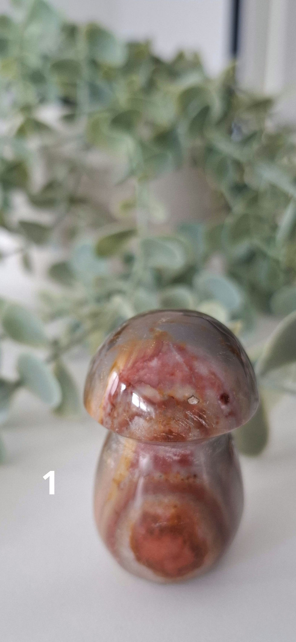Polychrome Jasper mushroom