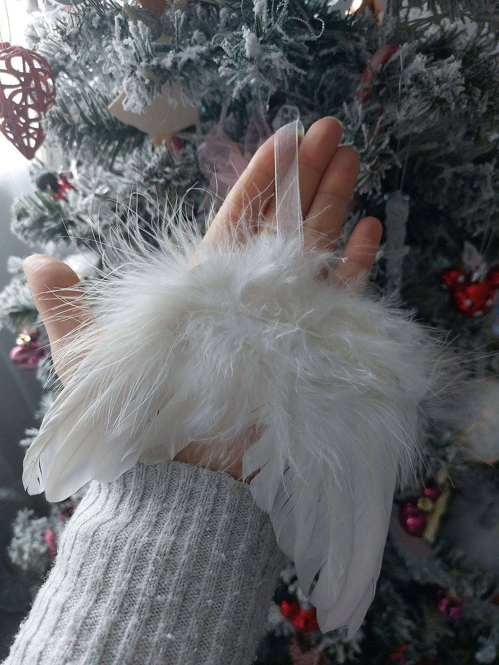 Thumbnail: Angel wings (feather hanging wings)