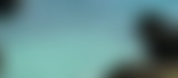 やりたいことは、後回しにしない