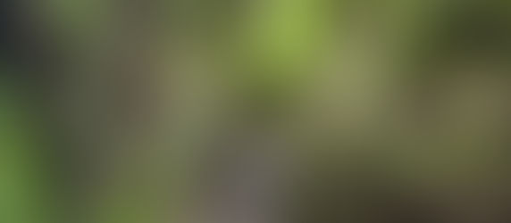 「決めた日より、続けた日」