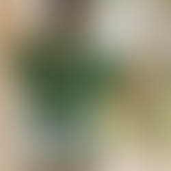 Top 3 Safety Risks of a Damaged Sliding Door