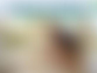 How to Make Your Sliding Door Quiet (The Central Florida Way)