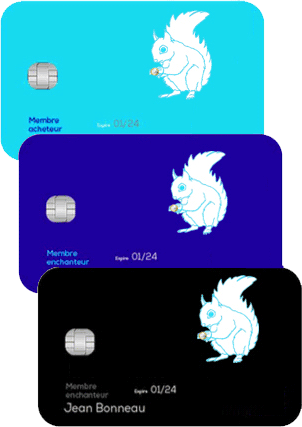 carte-bancaire-Emrys