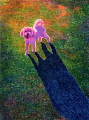 dog, sunset, dog drawing, art, artist, pet portrait, artist 