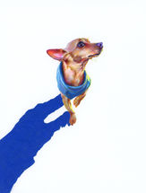 pet portrait, watercolor, dog artist, painting, dogs shadow, custom art, artist,  