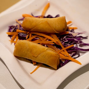 Mix Veg Spring Rolls