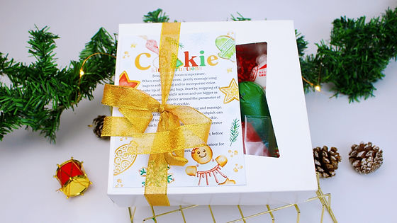 DIY Christmas Cookie Decorating Kit
