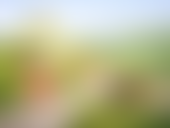 Indépendance financière : comment savoir où vous en êtes dans votre parcours