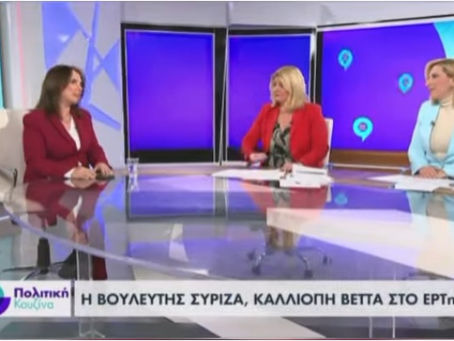 "Η κυβέρνηση της ΝΔ παραβιάζει επί 7 χρόνια το Σύνταγμα της χώρας"