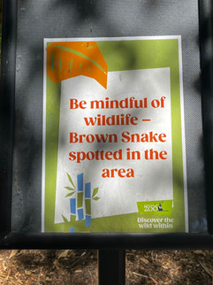 Wild snake spotted in this area sign
