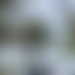 view of Sydney harbour