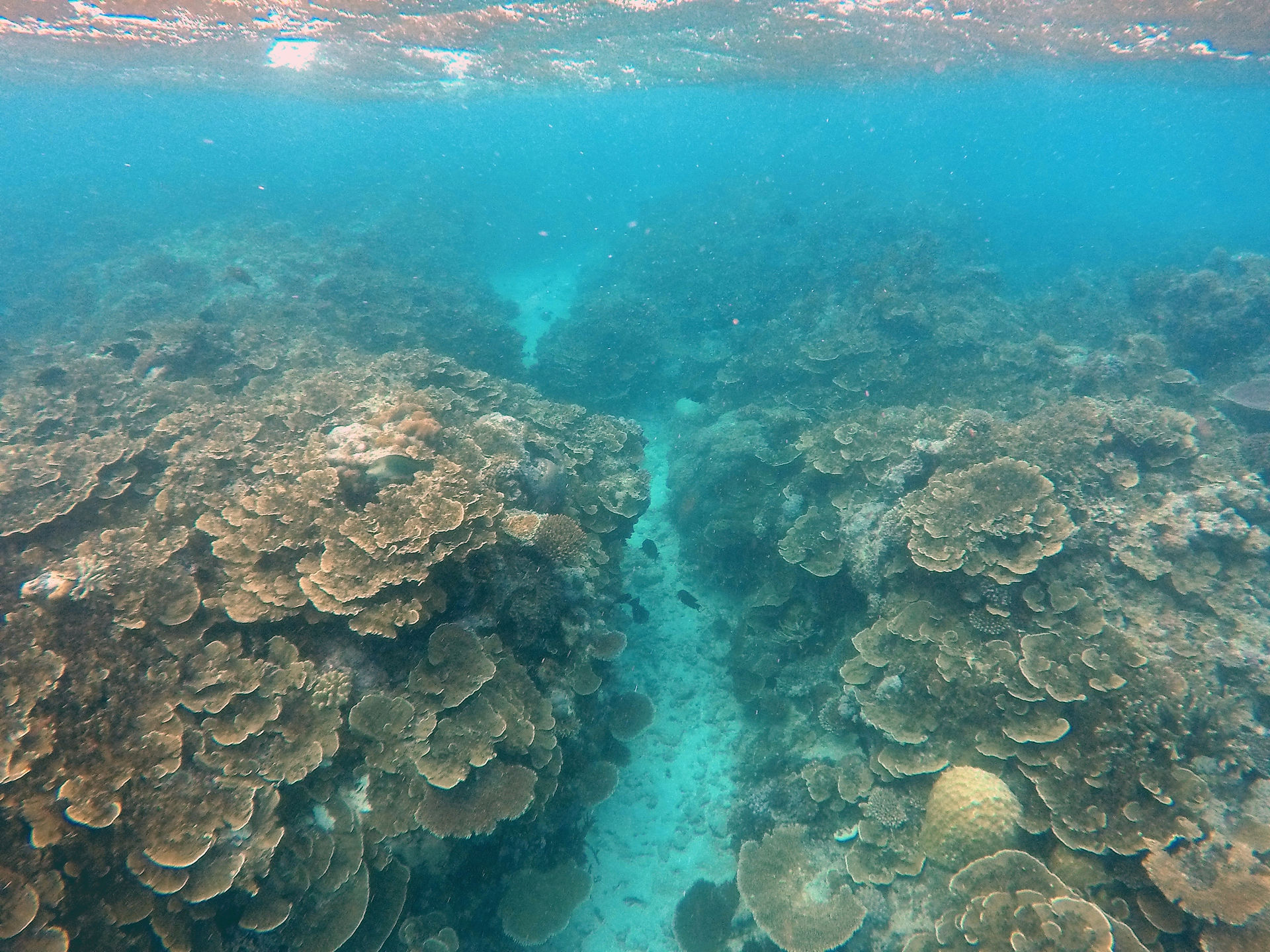 Great Barrier Reef