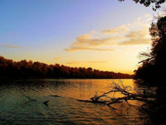 SZAKADÁR AKADÉMIA (Deli Mihály verse)