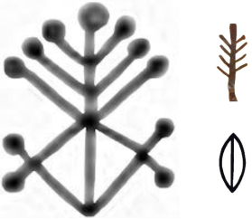 1. ábra. A 338-as sorszámú asszír életfa az ős (alul) és a szár (felül) hieroglifa ligatúrája (a kép Simo Parpola nyomán), az ábra jobb szélén fent egy magyarszombatfai tányér szár, alatta a székely írás ős szójele