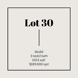 lot 30.png