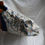 Thumbnail: Denim Floral Reversible Clutch
