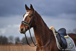 DSC_8029-Hersteld.jpg