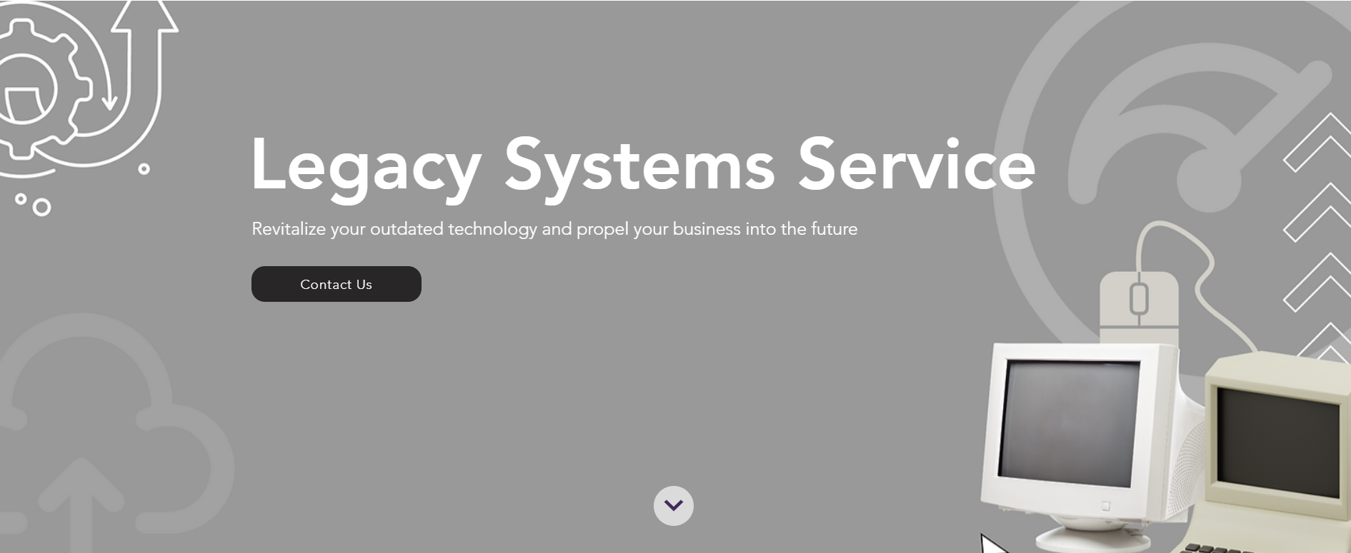 Legacy Systems Service
