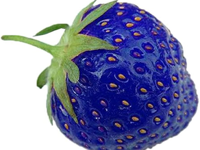 Comprendre l'intégration sensorielle