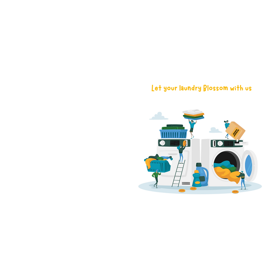 Let your laundry Blossom with us.png