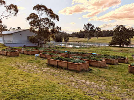 6 more garden beds for Hurlstone School