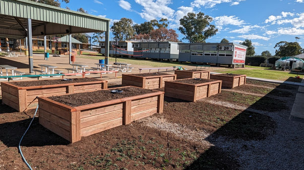 6 Wicking Beds in a Primary School