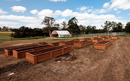 Hurlstone Agricultural College
