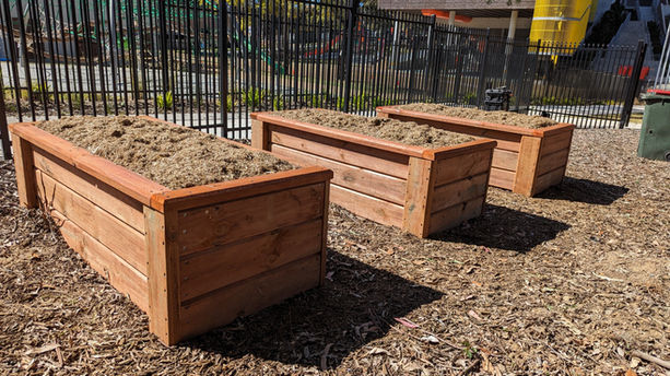 Ryde School - Edible Gardens Project