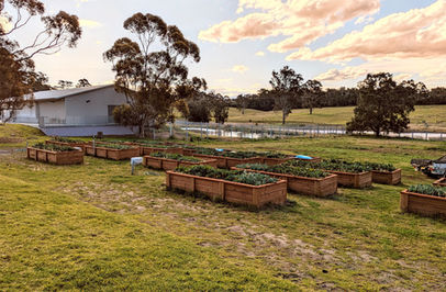 24 4m raised beds installed at Hurlstone Agricultural School