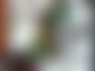 [비트코인] 이번주의 방향은?