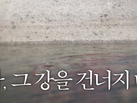 [비트코인] 님아 그 강을 건너지 마오