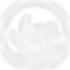 ViPR® Pro Logo.png