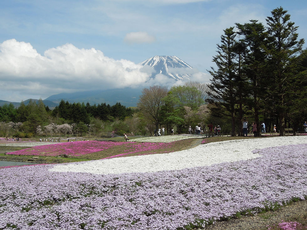 DSCN8621.JPG