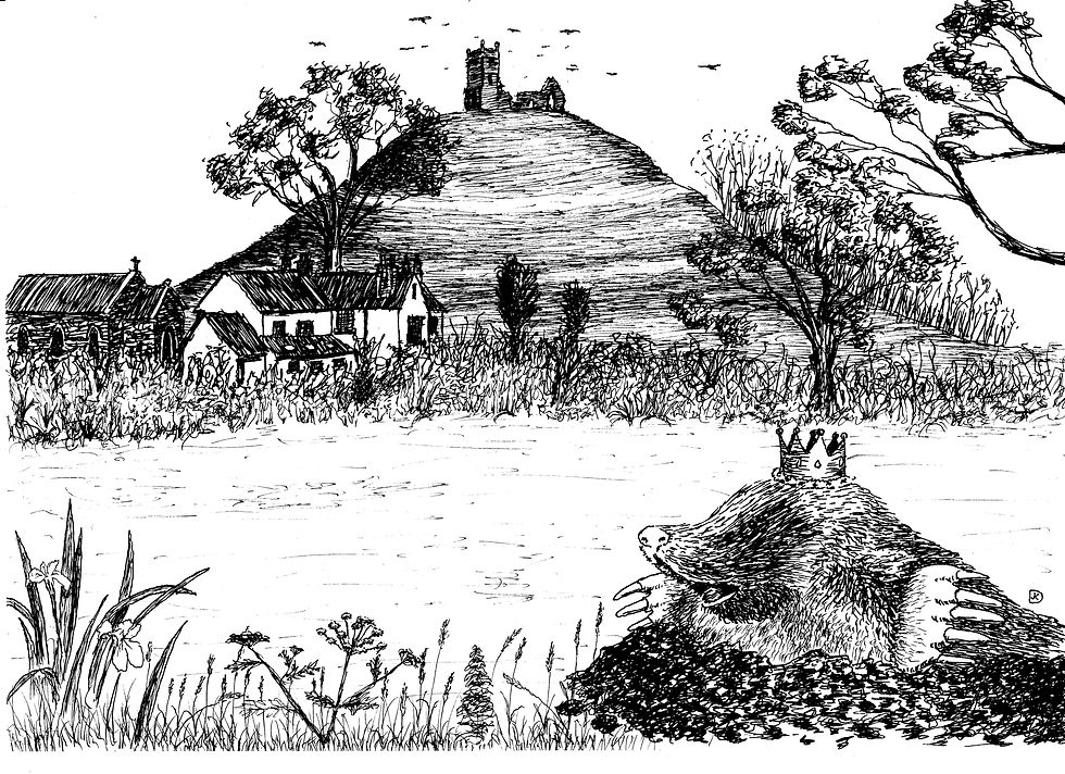 17) The King of the Moles