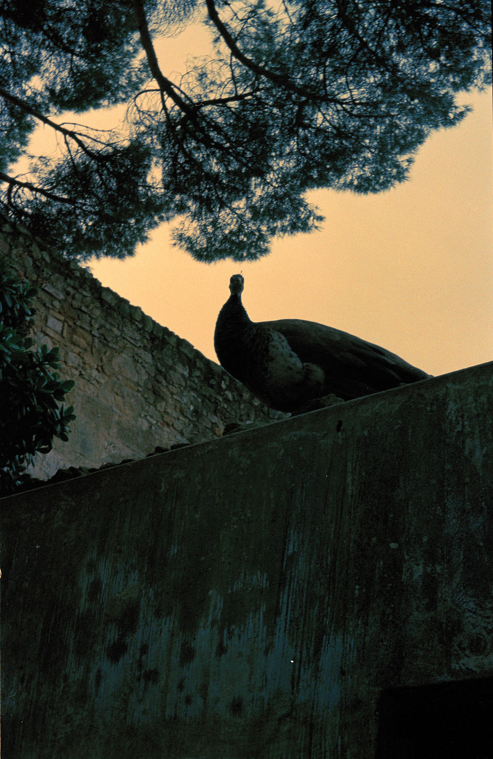 Lisbon-4