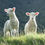 Miniaturbild: Baby Overall aus Merino Wolle 