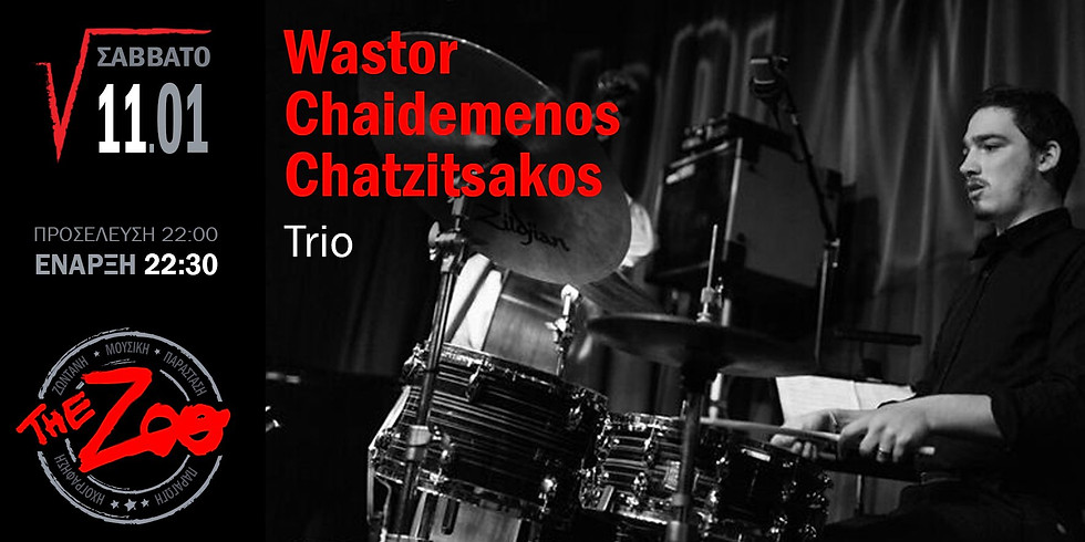 Wastor, Chaidemenos, Chatzitsakos @The Zoo