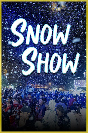snow show home.jpg