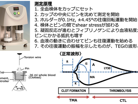 Thromboelastogram(TEG) ⑥ Point-of-careモニター
