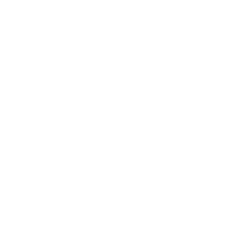 cat head